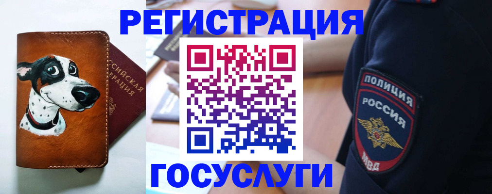 временная регистрация в квартире в Тайге